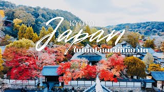 สถานที่รับชมใบไม้เปลี่ยนสีที่สวยที่สุดในเมืองเกียวโต | Nanzenji Temple, Kyoto Japan