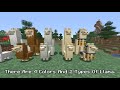 minecraft mobs and their variants