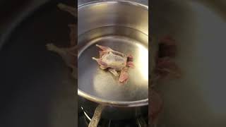 How I cook house sparrow