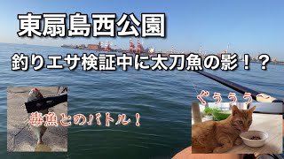 2021年10月初旬東扇島西公園にて釣り初心者が釣り餌検証中にタチウオの影と対決！？更に危険な毒魚との命懸けの戦い！猫ちゃんには愛想尽かされる。