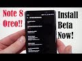 Galaxy Note 8 Android Oreo Update: How To Get it Now!