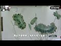 《三生三世枕上书》：东凤各种cp 第三十七集 凤九此时已经吃饱了，将半个身子靠在东华身上