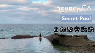 Vlog 15: 隱藏在Laguna Beach的無邊際泳池！Laguna Beach Hidden Pool