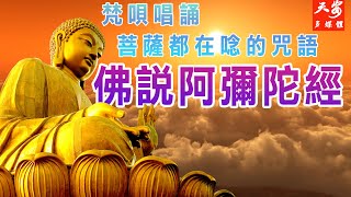 佛曲《佛說阿彌陀經》+往生咒+佛號+發願偈+讚佛偈#記得打開影片的cc字幕喔#誦經