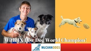 Disc Dog Tricks- The Roller - Professional Dog Training Tips