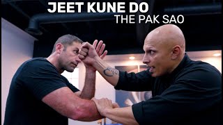 Jeet Kune Do: Mastering The Pak Sao