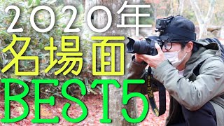 2020年お写んぽ名場面ベスト5！一眼レフとレンズで写真撮影しまくりました！