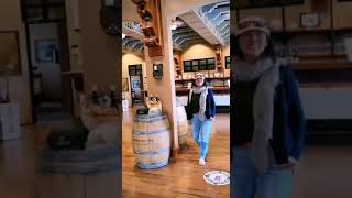 Burrowing Owl Estate Winery BC 绝美的风景，大片遍布山谷的葡萄藤。强烈推荐。​