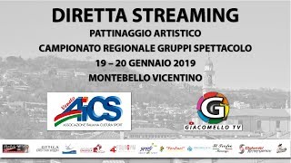 Pt.2 Campionato Reg. Pattinaggio Gruppi Spettacolo AICS Veneto - Montebello Vic. 20/01/19 Pomeriggio