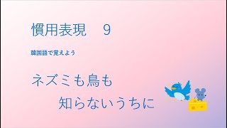 慣用表現 ９ ネズミも鳥も知らないうちに【3107韓国語学習ワンポイントアドバイス】