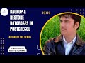 Backup and Restore Database in PostgreSQL | How to Take Backup and Restore Database in PostgreSQL