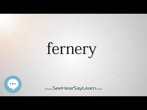 What does the word fernery meaning?