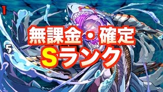 【パズドラ】Sランク確定GET!【青の契約龍】無課金低レア度　じゃじゃーん菊池