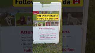 Rules for Dog Owners in Canada 🇨🇦 #shorts #canada #canadalife #dog