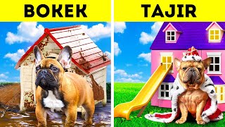 TAJIR vs BOKEK || Membangun Rumah untuk Anjing dan Kucing Rescue