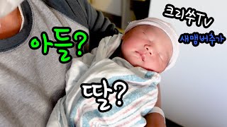 크리쑤네 셋째는 아들? 딸? 드디어 공개합니다~미국에서 출산하기 2편