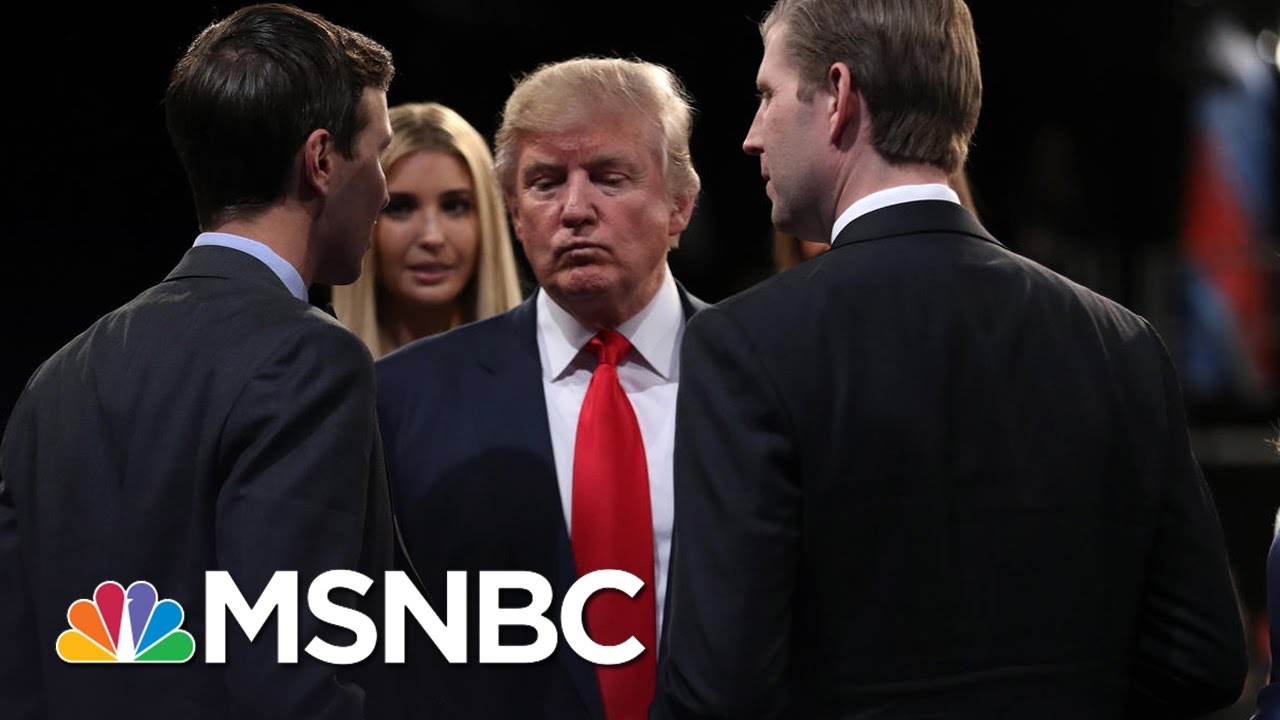 Donald Trump Acknowledges Ethical Conflicts | Rachel Maddow | MSNBC ...