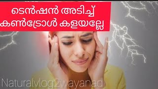 ടെൻഷൻ കൂടിയാൽ ഉണ്ടാകുന്ന രോഗങ്ങൾ |ഈ ലക്ഷണങ്ങൾ ആണ് സ്‌ട്രെസ് വരാനുള്ള കാരണം |@naturalvlog2wayanad