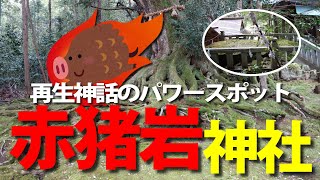 諸々の復活・再生を願って再生神話のパワースポット「赤猪岩神社（あかいわじんじゃ）」へリモート参拝したんだが、むしろ「もののけ姫」の世界で癒されたお話し　Akaiwa Jinja Shrine