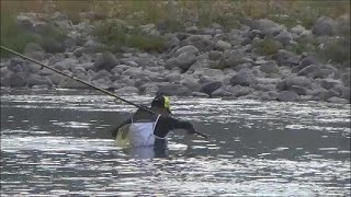 2021/10/8和歌山県紀の川鮎釣り【釣れたらいいね！なんちゃんチャンネル】