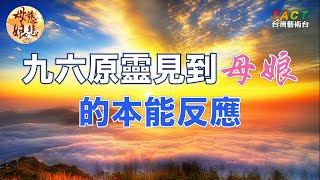 [母娘慈悲] 精彩片段：九十六億原靈見到母娘的本能反應