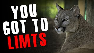 YOU GOT NO LIMITS - Best Motivational Speech - Tony Robbins , Steve Harvey , TD Jakes , Jim Rohn