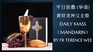 2020.4.7 平日华语弥撒 黄财龙神父主祭 Weekday Mandarin Mass celebrated by Fr Terence Wee C.Ss.R