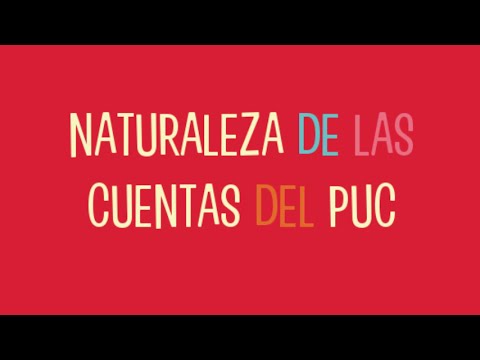 Naturaleza De Las Cuentas Puc