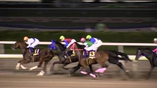 東京ダービー　2013年6月5日　インサイドザパーク　大井競馬　競馬タウン