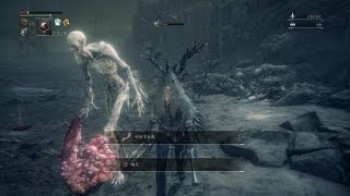 Bloodborne 血源詛咒 Bug 科斯的孤兒 484還沒變身就掛惹 PS4