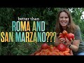 3 NEW Canning Tomatoes that are Better than San Marzano, Roma, and Amish Paste