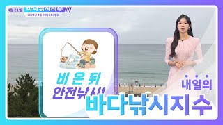 [바다낚시지수] 24년4월21일 비가 와요 낚시 하러 가실 때 미끄러우니까 조심하세요~! / 해양예보방송