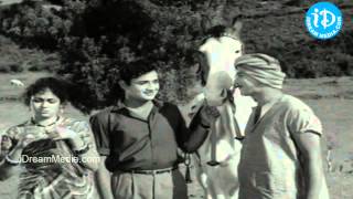 Kanne Manasulu Movie - Ram Mohan, Sandhya Rani, Krishana Nice Comedy Scene