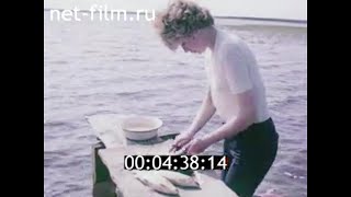 1981г. село Газ- Сале Тазовский район Ямало- Ненецкий округ.