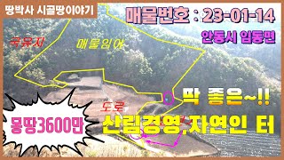 (23-01-14) 안동호 최상류 농막 놓고 산림경영 하기 좋은 자연인 토지.도심지 인근에 접근성 좋고 혐오시설 없는 청정지역.