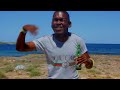 La Lámpara - El Johnny ❌ Akany - Los Genios de la Lámpara Papi (Video Oficial) Repaton