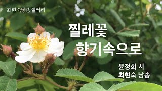 [최현숙낭송갤러리] 찔레꽃 향기 속으로 ㅣ 윤정희 시 ㅣ 최현숙 낭송