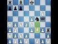 How to play chess Without King? Chess Game : 73 #chessbrains #chess