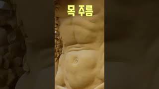 목 가로주름은 선천성, 세로주름은 노화에 의한 활경근 보임 #shorts