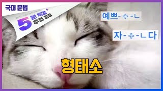 형태소ㅣ5분 특강, 국어 3분 문법