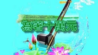 為著十萬元 【二胡演奏】