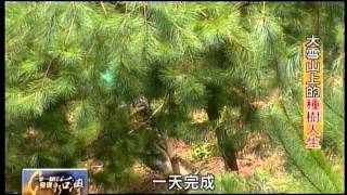 20121118 TVBS 一步一腳印 發現新台灣 - 大雪山上的種樹人生