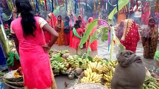 Nemua Udakishunganj Madhepura