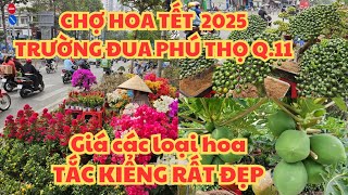 CHỢ HOA TẾT 2025 TRƯỜNG ĐUA PHÚ THỌ QUẬN 11: TẮT KIỂNG RẤT ĐẸP, GIÁ CÁC LOẠI HOA - ĐẠI LỘ HOA CÚC