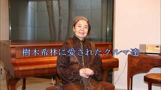 樹木希林の愛したクルマ達