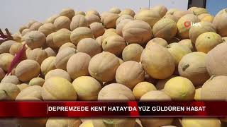 Hatay'da yüz güldüren hasat 👩‍🌾