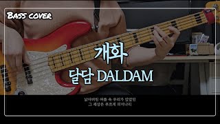 달담 DALDAM - 개화｜베이스 커버 Bass cover [+가사/Lyrics]