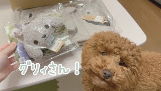 【日常】グリィさんとRADICAさんコラボお散歩バッグ【子犬】