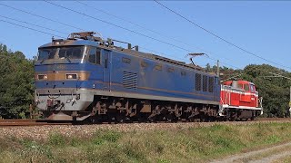 【高音質】【ジョイント音】貨物列車撮影記 配6550レ EF510 + KE65-1 など(2024/11/04)