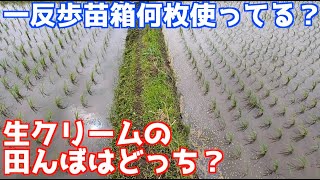 田植え終了後の草刈り！みんな一反歩苗箱何枚使ってる？